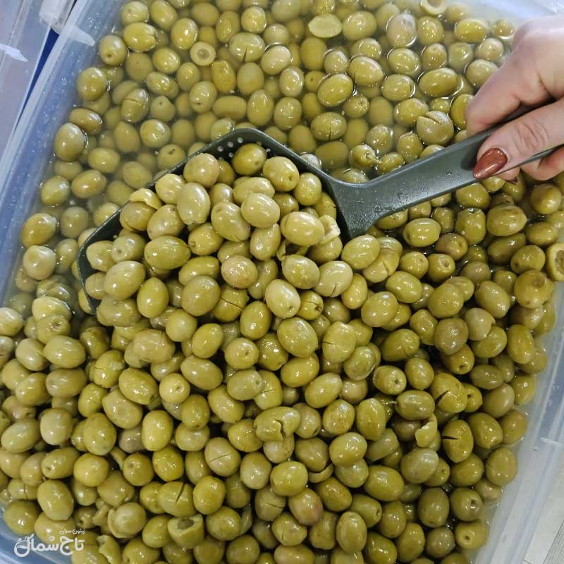 زیتون کنسروی شکسته متوسط